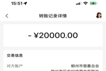 吴柳芳为家乡柳州捐款2万 心系灾区共渡难关