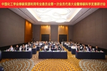 中国化工学会绿碳资源利用专业委员会成立