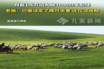 月薪1.6万放羊已有两对夫妻试岗 牧区生活引关注