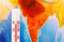 多地气温突破45℃，印度高温肆虐动物遭殃