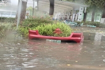 广东佛山暴雨冲走的车尾被车主领回 暴雨中的“暴力拆解”真人秀