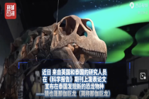 泰国发现东南亚迄今最大恐龙 体长27米重达27吨