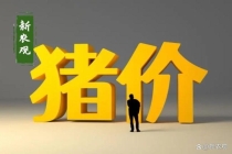 全国猪价已跌破5元 养殖业面临深度亏损