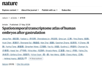 国内团队绘制全球首个胚胎器官时空全景，成果登上 Nature