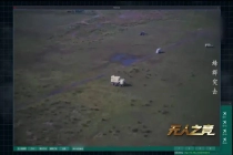 国产无人机蜂群作战系统首次全流程展示，一人轻松操控 96 架