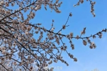 多地明确支持家长弹性休假 织就休假与托管保障网