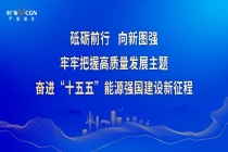 杨长利带队到三澳核电基地开展安全大检查