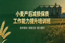 赋能粮食仓储,守护颗粒归仓！