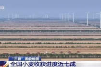 全国2.63亿亩小麦已归仓 夏粮丰收稳步推进