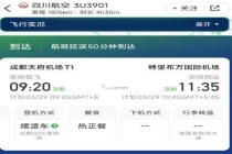 川航回应旅客在飞机厕所吸烟 烟雾报警触发介入