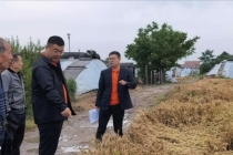 山东平安产险潍坊中心支公司极速响应，下沉田间查勘，护航夏收丰产