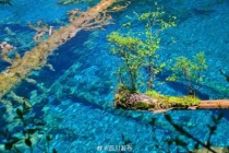 4月1日起九寨沟景区全段恢复开放 旺季票价公布