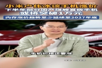 卢伟冰谈手机涨价 内存成本上涨影响持续