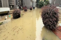 湖南吉首迎暴雨 有小区车辆被淹 水位已开始下降
