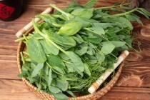 春日芽菜这样吃健康美味 五款芽菜开启春日巡礼