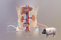 480余位两院院士参与投票，2025年中国科学十大进展发布