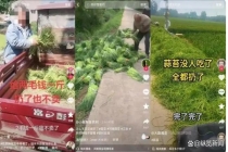 谁在炮制“蒜薹买5斤送10斤”段子 虚构苦难博流量