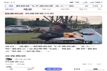 主人把自家鹦鹉打扮成“鹦美人” 方言召回绝技走红
