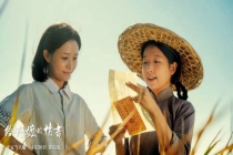 电影《给阿嬷的情书》幕后故事 赌真诚与温柔