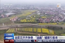 彩色油菜花 农田变身“调色板”