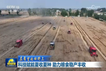 科技赋能夏收夏种 助力粮食稳产丰收 智慧农机显身手