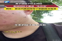 男子灭蚊“收尸”记死期做标本 成年人的情绪自救