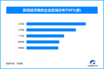 赏花经济：从景观流量到产业价值的生态革新之路