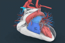 来自武汉！中国顶尖技术，在美国开启临床验证