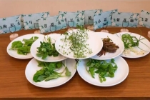 为什么吃蔬菜要多选深色的 营养价值更高