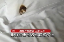 酒店回应住客用烟头烫坏床品后失联 已报警处理