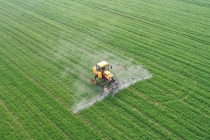 从麦田到稻田：南北同频抢农时，各地精准施策夯实粮食安全根基