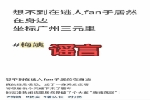 “梅姨”到哪都不给身份证 警方确认关键人物落网