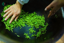 特色春茶“出圈”，中国名茶“出海”，中式茶饮在电商平台全球“圈粉”