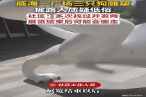 山东一广场三只狗雕塑被质疑低俗 公共艺术尺度引争议