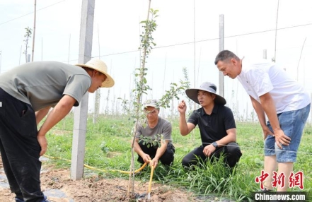 
                    陕西探索农业节水新路径 建成农业节水示范区1423个
               