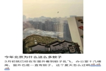 专家回应今年蚊子为什么出现得早 全球变暖影响显著