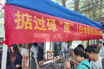 拿甘蔗爬山 登山神器走红网络