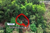 小区后山突现新坟引投诉墓主后人委屈 多方回应