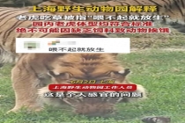 上海野生动物园回应老虎吃草质疑 为健康所需