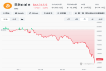比特币较高位跌50%，全市场超27万人爆仓