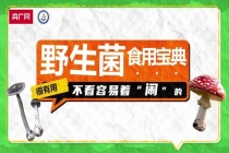 通过颜色鉴别野生菌有没有毒不靠谱 民间方法不可靠