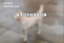女孩怕责备隐瞒被狗咬后狂犬病去世 疾控中心提示