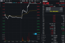 14天12板”！000908，复牌后上演“地天板