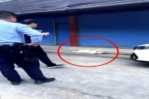 恶犬发狂伤人 警民合力将其捕杀 居民及时救助伤者