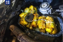 海关查获两起绑藏白银进境案 暗格藏匿银粒被识破