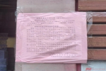 杨梅收购商：把老老实实的果农害惨了 泡药风波冲击市场