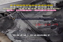 退货收到无底鞋 商家直呼：你就这么活不起吗？