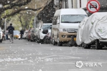 飞絮季开启！2026杨柳絮预警地图出炉 一图掌握京津冀等地始飞期