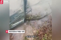 荆州暴雨导致养殖户损失惨重：10年心血一夜归零