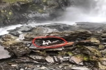 女子坠崖被送医 爱犬独守原地7天 奇迹生还获救